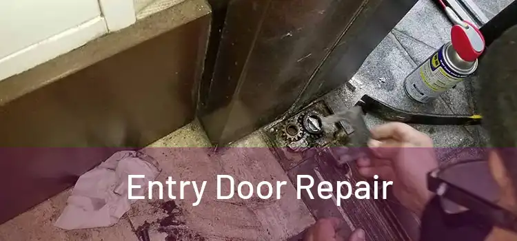 Entry Door Repair